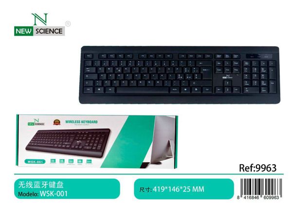 New Science Wsk-001 Teclado Inalambrico